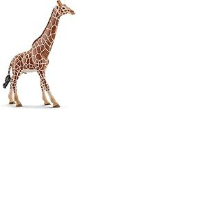Schleich 14749 Girafe m&acirc;le, d&egrave;s 3 Ans, Wild Life - Figurine, 12,7 x 4,4 x 17 cm