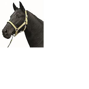 Hkm 4000315614165 Hkm Licol Etoiles Economy Softice-4398 Jaune Laiteux