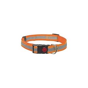 CHAPUIS SELLERIE Collier pour Chien Sangle Renforcée Réglable Nylon Orange 25 mm 38-65 cm, Taille L