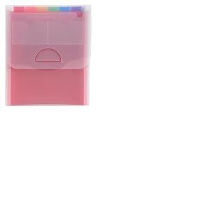 Exacompta - Réf. 55798E - Carton de 5 trieurs valisette vertical Crystal - couverture et intérieur en PP - avec 2 porte-étiquettes sur la face - 6 compartiments - dim 25,5x30,5cm - pour A4 - cristal