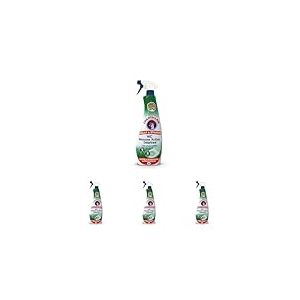 Chanteclair - Spray WC, Mousse Active Détartrant, Nettoie et Désincruste en Profondeur, Parfait pour un Usage Intérieur et Extérieur - 625 ml (Lot de 4)