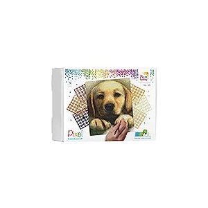 Pixel P090045 Emballage cadeau mosaïque chien pour enfants, image pixel d'environ 20,3 x 25,4 cm, système d'assemblage simple avec tesselles en bioplastique, sans repassage ni collage