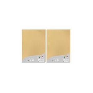 Clairefontaine 24279C - &Eacute;tui de 25 Feuilles - Format A4 (21x29,7cm) - 210g/m&sup2; - Coloris Caramel - Papier d'Invitation Ev&egrave;nements et Correspondance - Gamme Pollen - Papier Premium Lisse (Lot de 2)