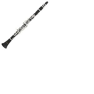 Classic Cantabile CLK-20 Clarinette Plastique (syst&egrave;me allemand, 20 cl&eacute;s, 6 anneaux, corps en &eacute;bonite, incl. &eacute;tui et chiffon de nettoyage)