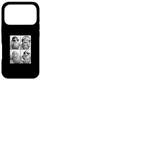 Lunettes de Soleil Pomme de Terre Coque pour iPhone 17 Pro