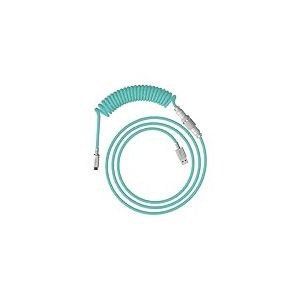 HyperX C&acirc;ble spiral&eacute;, c&acirc;ble spiral&eacute; durable, design &eacute;l&eacute;gant, connecteur aviateur 5 broches, USB-C vers USB-A, vert clair, blanc