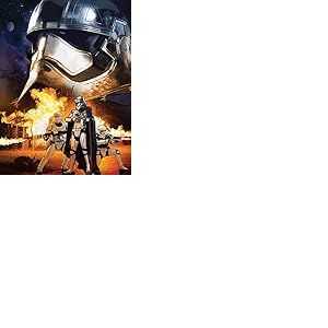 Star Wars Episode VII (Captain Phasma Art) 60 x 80 cm Toile Imprimée