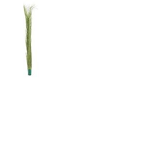 Europalms 127 cm en Roseau, Vert Clair