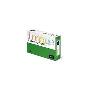 Kopierpapier A4 160g i'grün Dublin 250 papers