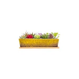 ARTKETTY Grand Pot de Fleurs rectangulaire en c&eacute;ramique de 30,5 cm avec Plateau de Drainage, pour Cactus d'int&eacute;rieur, Plantes succulentes, bonsa&iuml; Peu Profond, d&eacute;coration de Jardin