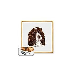 Trimits Grand kit de point de croix personnalisé pour adultes débutants, décoration murale pour amoureux des animaux, propriétaires de chiens, 11 points, 36 x 36 cm, cadre Springer Spaniel non inclus