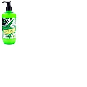 EASO MAGNO Champ&atilde;&rdquo; Sem Sal Alo&atilde;&permil; Vera Hidra 500Ml