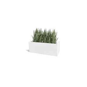 Kloris Jardinière rectangulaire Moderne Mod. OASI 80 x 30 cm h 30 cm, Blanc polyéthylène Haute qualité, fabriqué en Italie