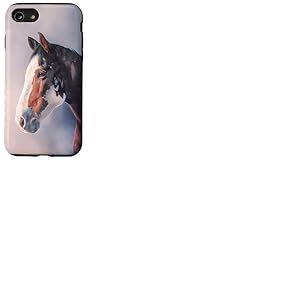 Cheval Équitation Cavalier Cheval Filles Appaloosa Coque pour iPhone SE (2020) / 7/8