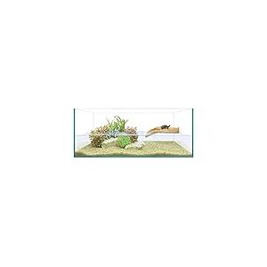 ICA Kit Tortue Isla 50 Reptiselva 7600 g