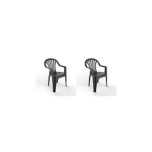 Resol New Pals Set 2 chaises en Plastique avec accoudoirs, l&eacute;ger et empilable. Fauteuil pour l'&eacute;v&eacute;nement ext&eacute;rieur ou int&eacute;rieur | Jardin et terrasse | Facile d'entretien et Filtre UV - Anthracite
