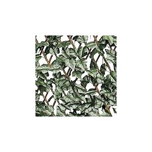 Treillage extensible-1 x 2 c MT/feuilles clôture de balcon jardin extérieur 790/27