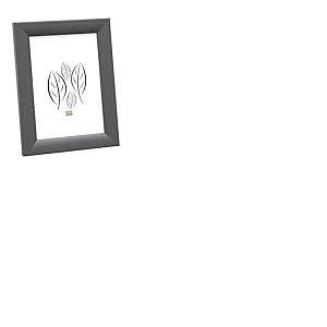 Deknudt Frames S54SF7 Cadre Photo Bois Gris 10 x 20 cm