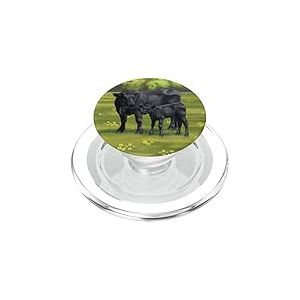 Vache Angus Noire et Animaux de la Ferme Mignons PopSockets PopGrip pour MagSafe