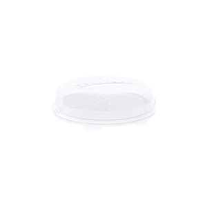 Rotho Fresh cloche à gâteau plate avec capuchon et poignée de transport, Plastique (PP) sans BPA, blanc/transparent, (35.5 x 34.5 x 11.6 cm)