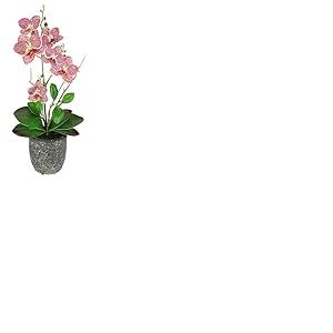 Fleur artificielle papillon orchidée avec feuilles et racines aériennes dans un pot en céramique fleur artificielle orchidée phalaenopsis avec pot plante artificielle décoration mariage fleur en soie