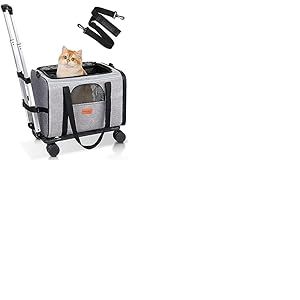 Morpilot Sac de Transport &agrave; roulettes pour Chat, approuv&eacute; par Les compagnies a&eacute;riennes, pour Petits Chiens, pour Grands Chats, Poussette pour Chiots, Gris