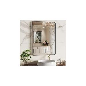 WEER Miroir de Salle de Bain Noir 55,9 x 76,2 cm, Miroir rectangulaire Arrondi pour Salle de Bain, Miroir Mural avec Cadre en métal Noir, Verre trempé, Anti-Rouille, à Suspendre horizontalement ou