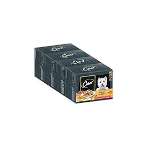 Cesar Nourriture Humide pour Chien Adulte Sélection en gelée, 48 sachets de 12 x 100 g (Lot de 4) – Nourriture équilibrée de qualité supérieure pour Chien, avec Poulet et bœuf