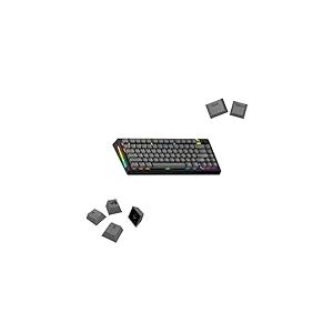 Glorious Gaming - Touches GPBT Basics en PBT, 8 Coloris, Armor Grey, ineffaçables, pour claviers mécaniques Custom formats 100, 75, 65 et 60%, ANSI ou ISO, Disposition américaine QWERTY