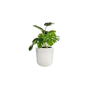 Elly Décor Pot cylindrique de 25,4 cm en Fibre de Verre Peint à la Main pour Plantes et Fleurs d'intérieur et d'extérieur avec Trou de Drainage et Bouchon Blanc