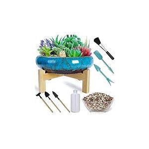 Grand Pot de Plantes succulentes - Pot à bonsaï en céramique avec Support de Drainage pour Plantes à Fleurs de Cactus d'intérieur Plus Outils de Plantation et Galets de mélange de 2,2 LB