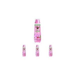 Ushua&iuml;a D&eacute;odorant Compress&eacute; 48H Orchid&eacute;e du Mexique (Lot de 4)