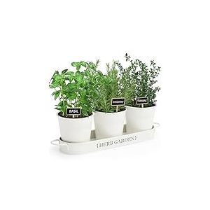 PERFNIQUE Jardin d'herbes aromatiques d'intérieur pour intérieur/extérieur, Pots de Fleurs de Ferme, kit de Jardin d'herbes aromatiques avec Plateau, Pots de fenêtre pour Plantes d'intérieur (Blanc