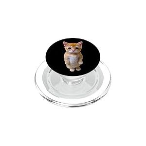El Gato Meme Chat pleurant Triste Munchkin Kitty Meme Trendy PopSockets PopGrip pour MagSafe