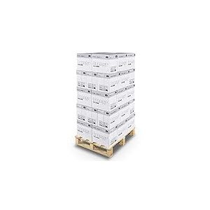 Image Volume - Papier multifonction Blanc 80 g/m&sup2; A4 - Lot de 40 cartons - 200 ramettes de 500 feuilles - 100.000 feuilles