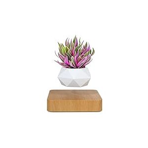 Pot de Fleurs en l&eacute;vitation pour bonsa&iuml;, Pot de Fleurs Rotatif, Pot Flottant &agrave; l&eacute;vitation magn&eacute;tique, pour d&eacute;coration de Maison, de Bureau (Couleur Claire)