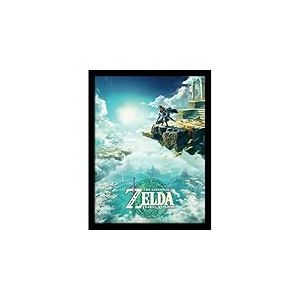 Pyramid International Poster The Legend of Zelda dans cadre (Hyrule Skies) Décoration murale dans cadre 30 x 40 cm - Produit officiel - Noir
