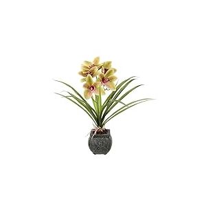 Orchidée cymbidium artificielle 40 cm avec feuilles et racines aériennes dans un pot en céramique orchidée phalaenopsis avec pot plante artificielle pour mariage fleur en soie fleur réelle fleur verte