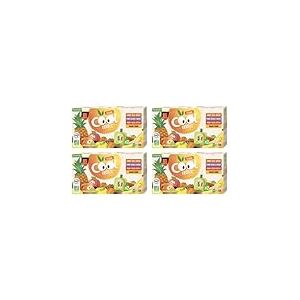 Vitabio Cool Fruits - Multiparfums 4 recettes - BIO - 12x90g - Lot de 4