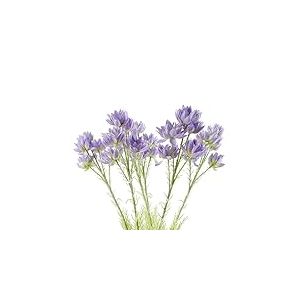 Leaf Design Fleurs artificielles