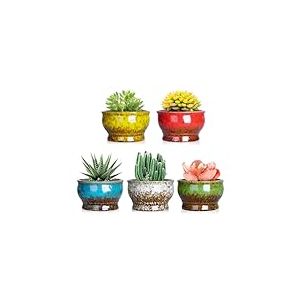 ARTKETTY Lot de 5 Petits Pots à succulentes en céramique émaillée avec Drainage pour Cactus, Fleurs et Plantes d'intérieur, 10,9 cm