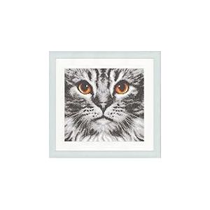 VERVACO Point De Croix Compté Kit DIY Cadeau Bebe Naissance Personnalisé Primer plano de un gato Tableau Complet Kit De Broderie Loisir Créatif Maison Décoration 23 x 21 cm Cross Stitch Embroidery