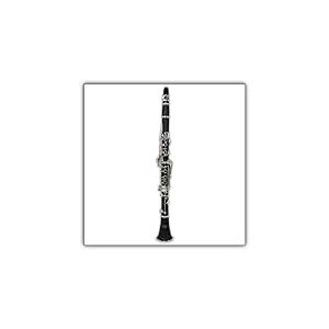 Tuyama® TKB-177 Clarinette en Sib - Ebonite – Système Boehm - 17 clés argentées – Embouchure & Valise de Transport inclu