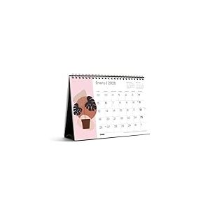 Miquelrius - Calendrier de bureau 2026, organiseur annuel A5 : 210 x 148,5 mm, avec espace pour noter, reliure spirale double, planificateur 12 mois, espagnol, abstrait