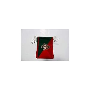 AZ FLAG - Guirlande Drapeau France Légion étrangère - 6 Mètres Avec 20 Fanions Armée Française De 21x14 cm - Petits Drapeaux 100% Polyester - 60g