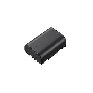 SilverHT 40551 &ndash; Batterie de Support d'appareil Photo pour Panasonic DMW-BLF19 1860 mAh, Couleur Noir