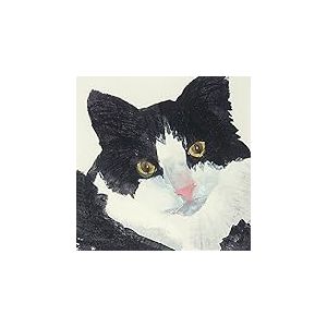 Julia Burns AFWDC91439 Toile Imprimée, Bois Dense, Multicolore, 30 x 30 cm
