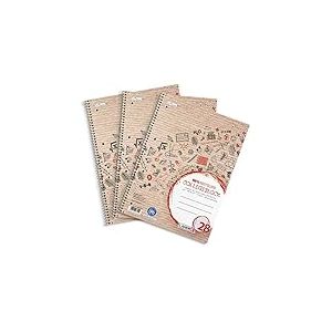 Landré College Lot de 3 cahiers quadrillés recyclés Format A4 80 feuilles