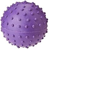 Classic for Dogs Balle à Picots avec Clochette Violet 60 mm