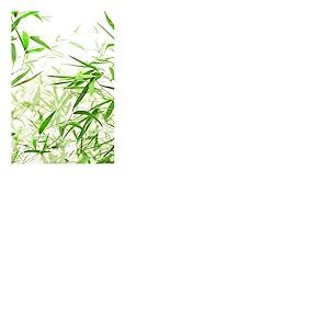 Komar D&eacute;coration Murale - Feuilles de Bambou - P060-50 x 70 cm - Dimensions : 50 x 70 cm (Largeur x Hauteur)